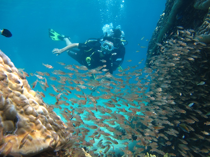 DISCOVER SCUBA DIVING IN NHA TRANG BY SPEED BOAT