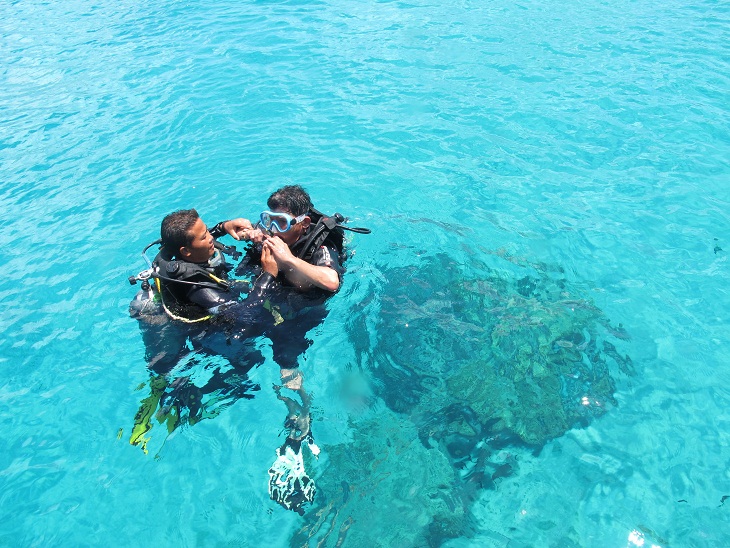 Daily Scuba diving and Snorkling tour