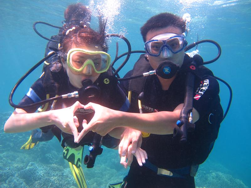 Daily Scuba diving and Snorkling tour